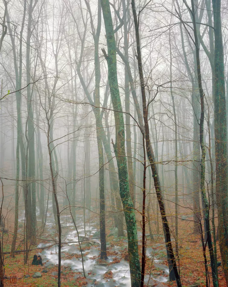 Spring storm, Blue Ridge Mountains, Virginia