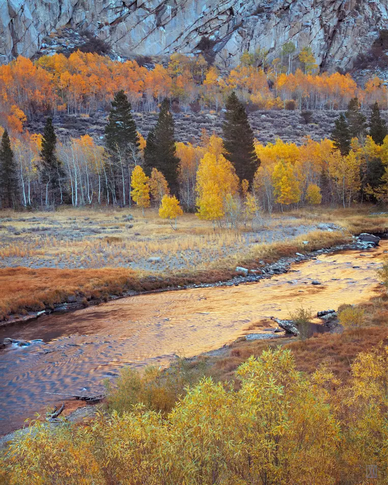 Rush Creek, autumn, Mono County, California