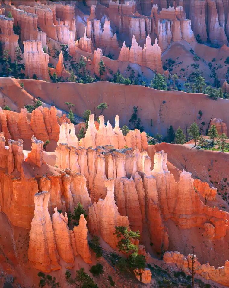 Dawn, Sunset Point, Bryce Canyon National Park, Utah